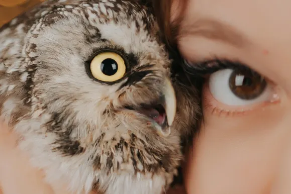 カジノ フィーバー ビンゴ サポート